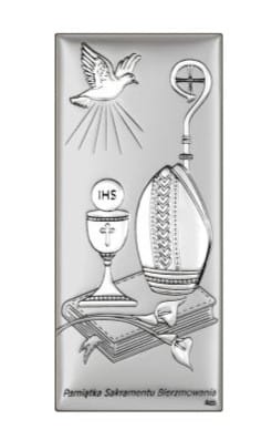 DS220-2 - Bieżmowanie.jpg